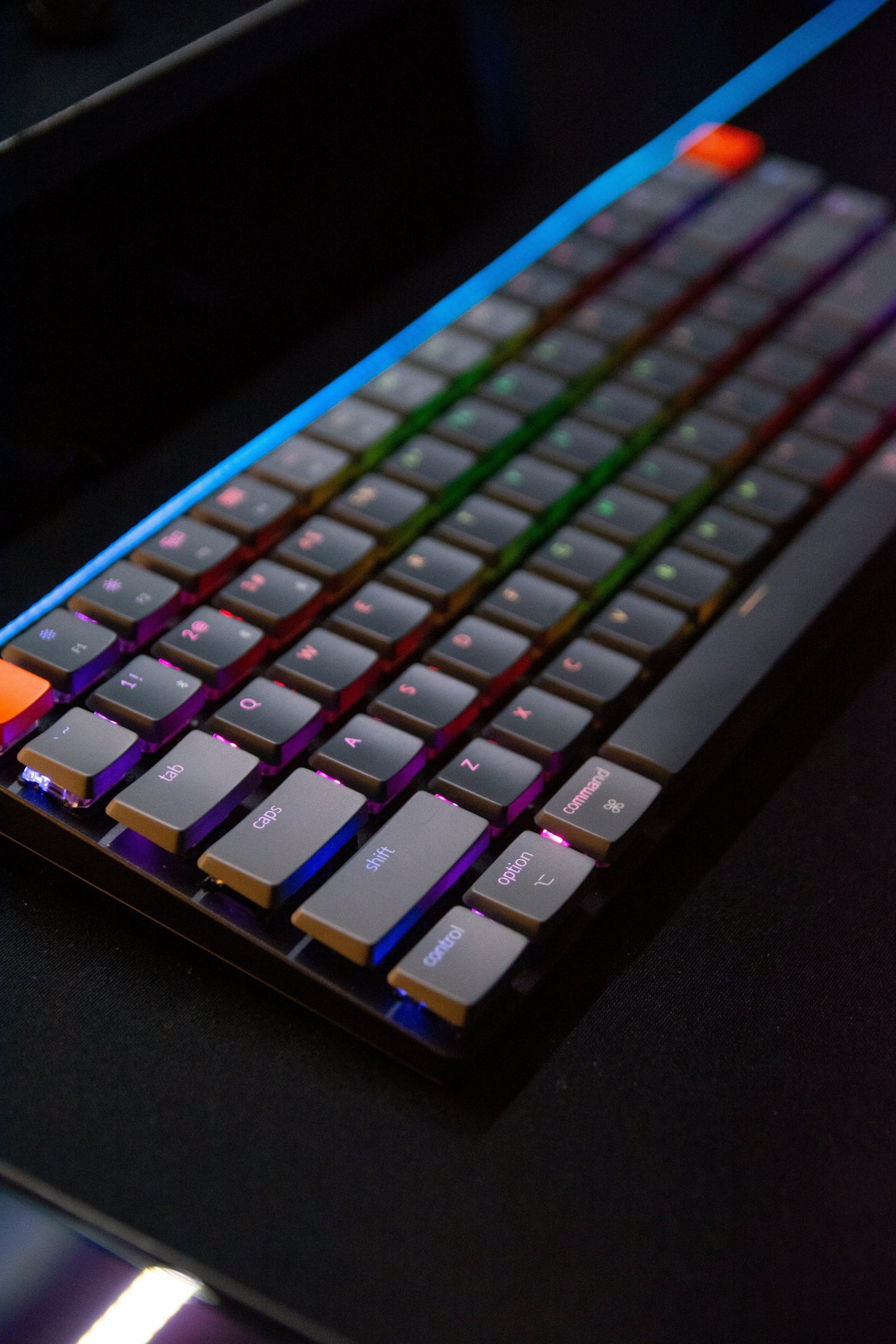 Tech & Accessories